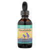 Herbs For Kids Echinacea GoldenRoot Blackberry - 2 fl oz HGR 0631440