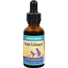 Herbs For Kids Sweet Echinacea - 1 fl oz HGR 0631523