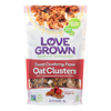 Oat Clusters - Sweet Cranberry Pecan - Case of 6 - 12 oz..