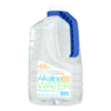 Alkaline 88 1-Gallon Bottled Alkaline Water - Case of 4 - 1 Gal HGR 1270743