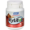Epic Dental Mints - Cinnamon Xylitol Bottle - 180 ct HGR1522044
