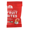 Organic Fruit Bites - Mango Coconut - Case of 8 - 1.76 oz..