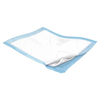Cardinal Health Wings Fluff and Polymer Breathable Underpad, 30 x 36, 1/EA IND 68984-EA