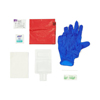 Medline Standard Biohazard Spill Kit, 1/KT MEDMPH17CE210H