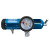 Cramer Oxygen Regulator 0-25LPM DISS, 1/EA MON1204748EA