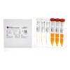 Siemens Control Set Chek-Stix&reg; Urinalysis Level 1, 2 2 X 3 X 15 mL, 1/KT MON1215072KT