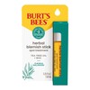 Clorox Professional Acne Treatment Burts Bees Herbal Complexion Stick 0.26 oz. Stick MON1233954EA