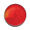 BD Prepared Media BD BBL Trypticase Soy Agar with 5% Sheep Blood (TSA II) Dark Red Mono-Plate Format, 100/BX MON881676BX