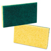 Boardwalk Boardwalk Scrubbing Sponge BWK174
