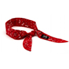 Pyramex Safety Products Cooling Bandana 100 Bulk Pack - Red Paisley PYR CNB100R
