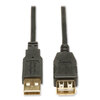 Tripp Lite Tripp Lite USB 2.0 A/A Gold Extension Cable TRPU024006