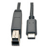 Tripp Lite Tripp Lite USB 3.0 Superspeed Cable TRP U422003