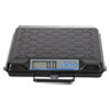 Salter Brecknell Brecknell 100 lb and 250 lb Portable Bench Scales SBWGP250