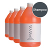 Paya Shampoo, 1 Gallon, 4/CS ZOGPAYA013-00