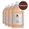 ProTerra Conditioning Shampoo, 1 Gallon, 4/CS ZOGPROT016-00